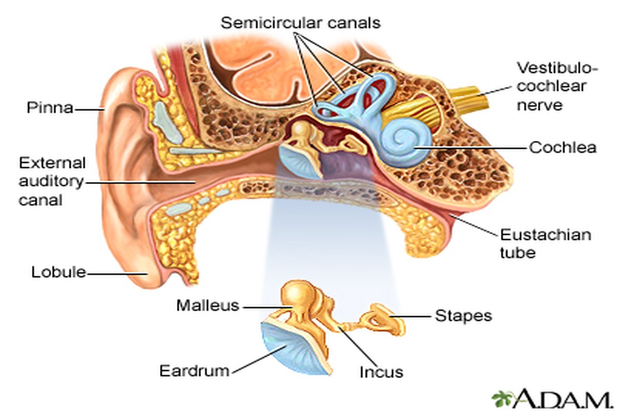 Ear Pain And Hearing Changes