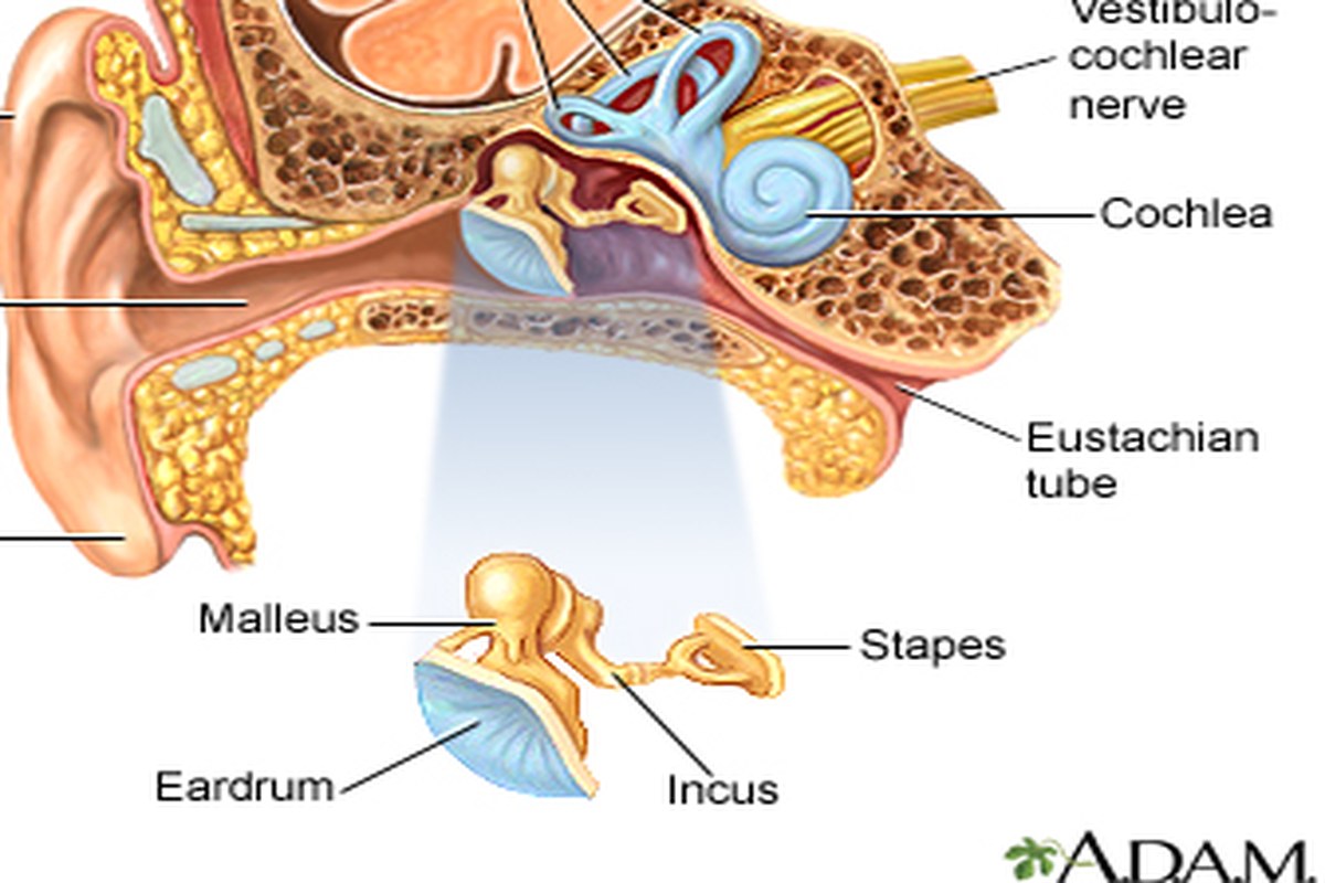 Ear Pressure Everyday Checklist