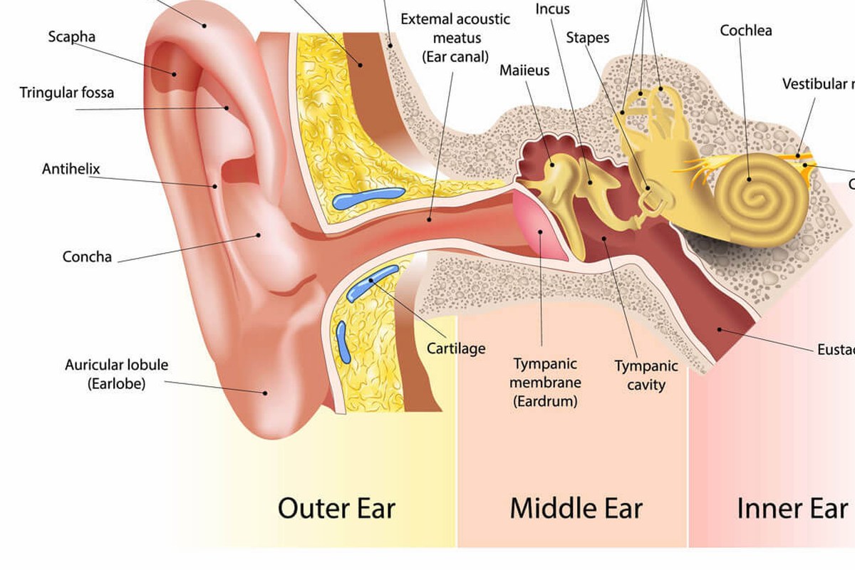 Ear Pain After Flying